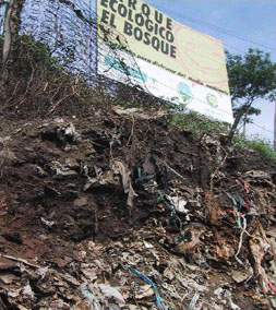 Many of the families displaced off their land by the pipelines have moved to Medellin, where they live on the city’s rubbish tip in the Moravia district. They have to send their children out to sell sweets at traffic lights. They are obliged to pay for the right of a day’s work recycling bits from the incoming rubbish, from which they might clear £3. Many of the families displaced off their land by the pipelines have moved to Medellin, where they live on the city’s rubbish tip in the Moravia district. They have to send their children out to sell sweets at traffic lights. They are obliged to pay for the right of a day’s work recycling bits from the incoming rubbish, from which they might clear £3.